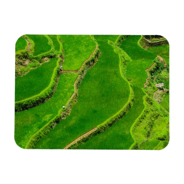 Rice Terraces Magnet (Horizontal)