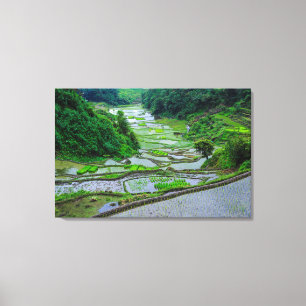 Rice Terraces of Banaue, Luzon Canvas Print