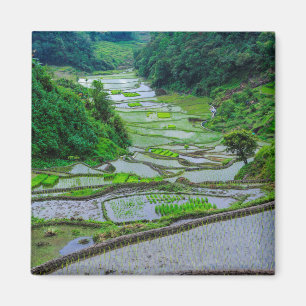 Rice Terraces of Banaue, Luzon Magnet