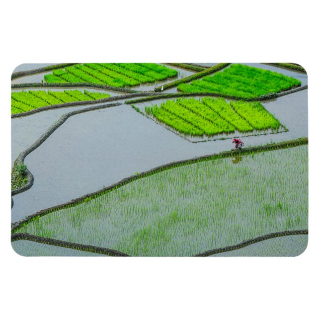 Rice Terraces of Luzon Magnet (Horizontal)