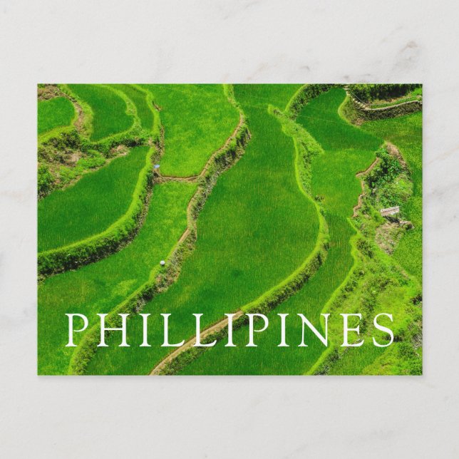 Rice Terraces Postcard (Front)