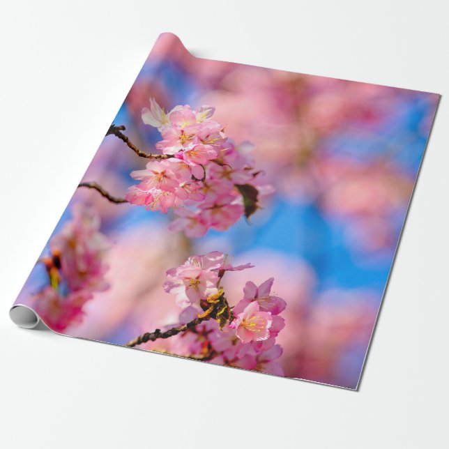 Rich And Sweet Sakura Flowers On A Sunny Day Wrapping Paper (Unrolled)