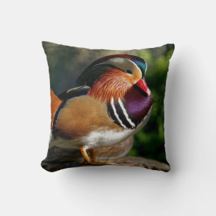 Rich coloured Wood Duck Cushion