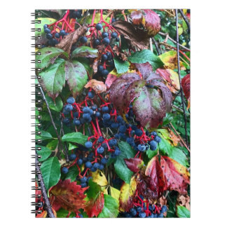 Rich Colours Notebook