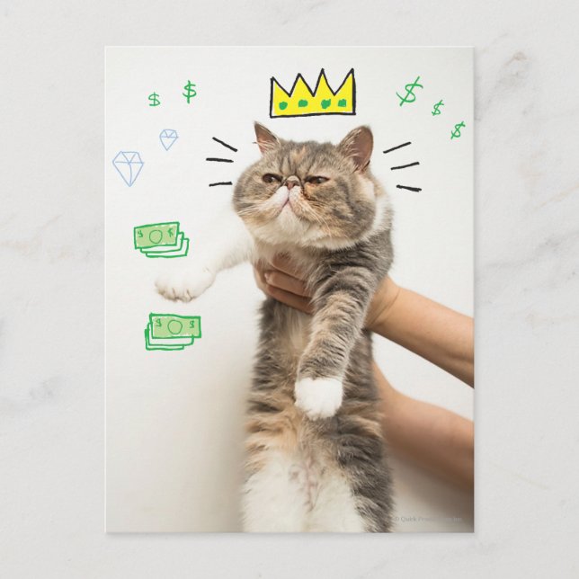 Rich King Cat Postcard (Front)