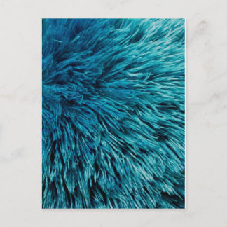 Rich Turquoise Postcard
