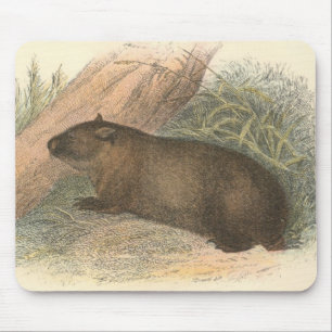 Richard Lydekker - Tasmanian Wombat Mouse Mat