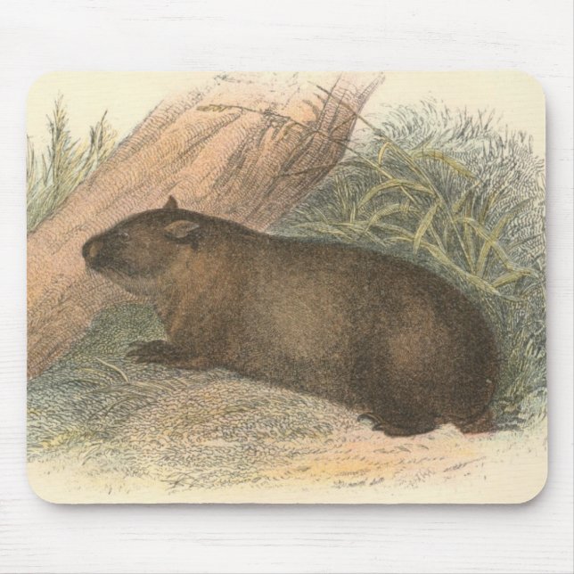 Richard Lydekker - Tasmanian Wombat Mouse Mat (Front)