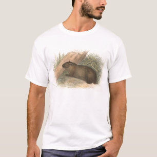 Richard Lydekker - Tasmanian Wombat T-Shirt
