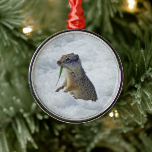 Richardson Ground Squirrel Metal Tree Decoration