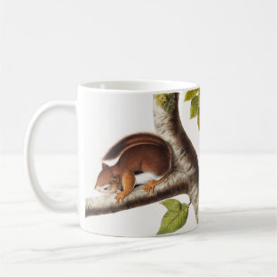 Richardson's Columbian Squirrel Illustration Coffee Mug