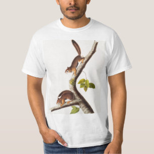 Richardson's Columbian Squirrel Illustration T-Shirt