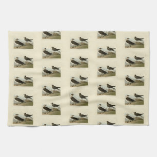 Richardson's Jager from Audubon's Birds of America Tea Towel