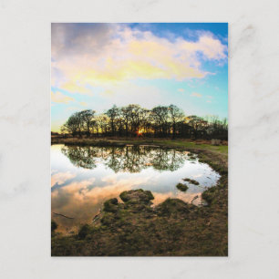 Richmond Park, London Postcard