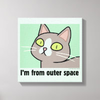 RICK AND MORTY™ | I'm From Outer Space