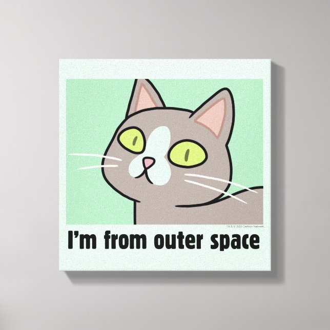 RICK AND MORTY™ | I'm From Outer Space Canvas Print (Front)