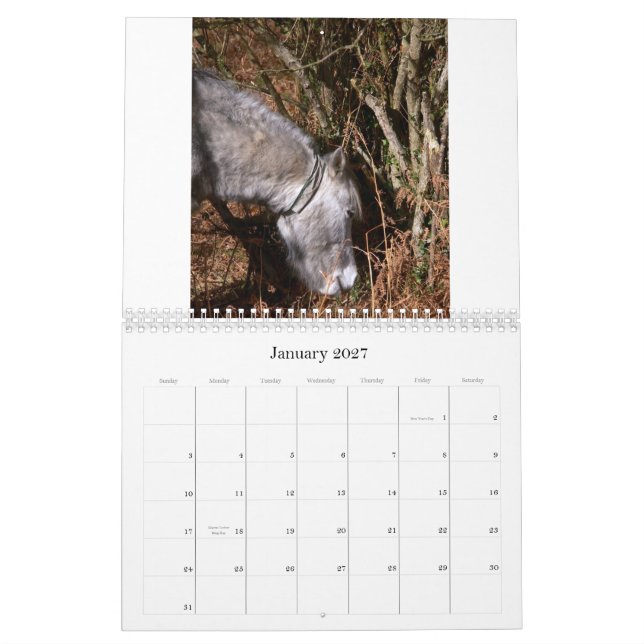 Ricks 2008 Random Pics C... Calendar (Jan 2027)