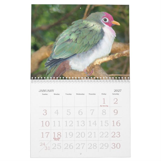 Rick's Wild Bird Calendar 2007 (Jan 2027)