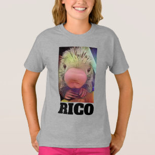 RICO ZOO PORCUPINE T-SHIRT
