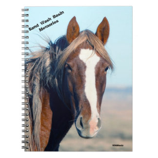 Ricochet of Sand Wash Basin Notebook