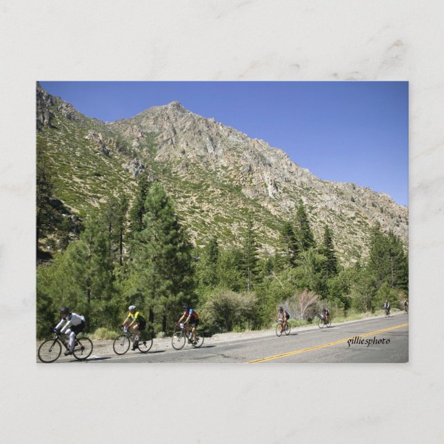 Ride Through the Alps Postcard (Front)