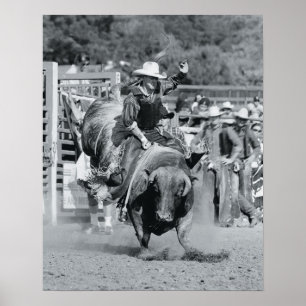 Rider hanging on to bucking bull poster