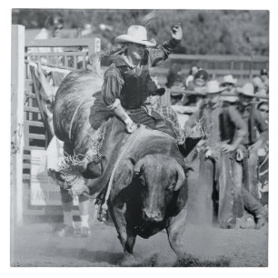 Rider hanging on to bucking bull tile