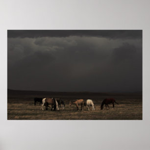 Riders Of The Storm Poster