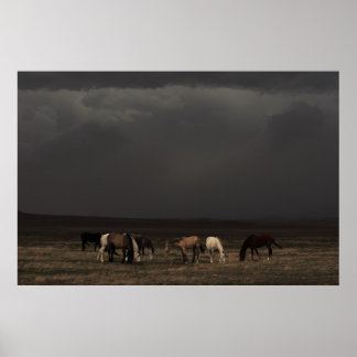 Riders Of The Storm Poster