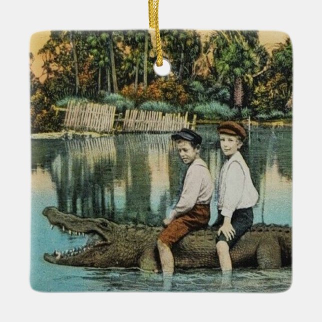 Ride'um Gator Funny Postcard Ceramic Ornament (Front)