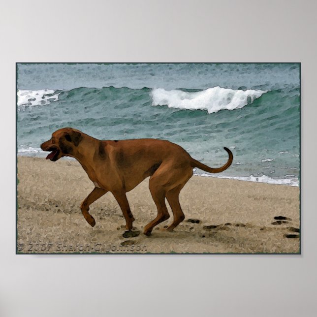 Ridgeback by the Sea Poster (Front)