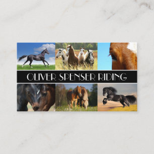 Riding Instructor Horse Training School Business Card