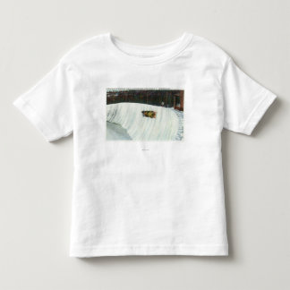 Riding the Whiteface Curve Toddler T-Shirt