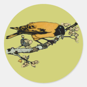 Rielaboration of Yellow Vintage Bird Illustration Classic Round Sticker
