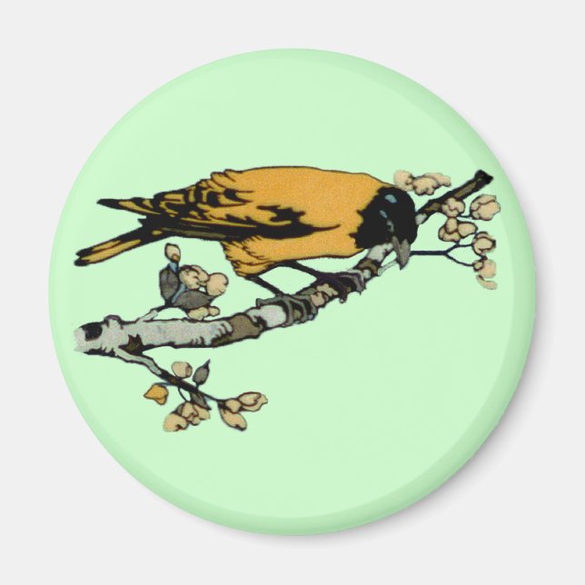 Rielaboration of Yellow Vintage Bird Illustration Magnet (Front)