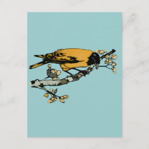 Rielaboration of Yellow Vintage Bird Illustration Postcard