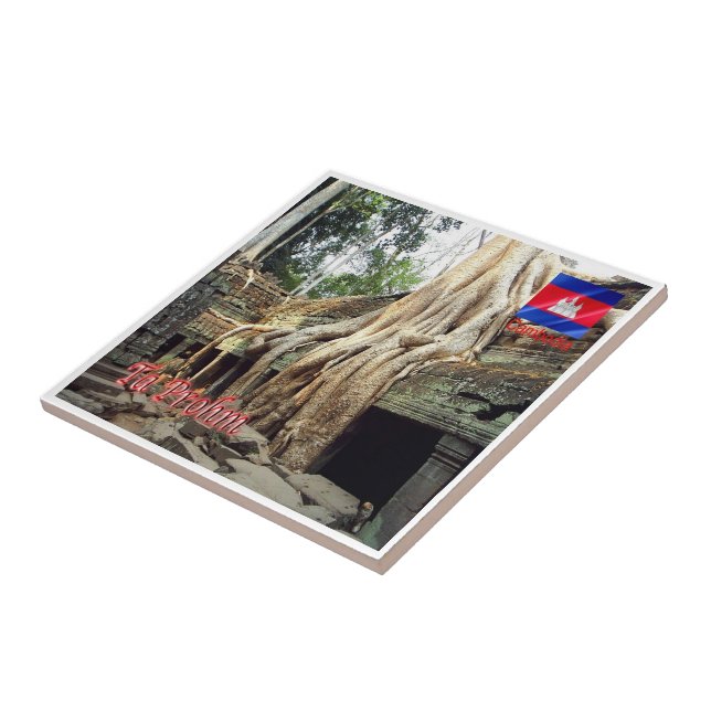 Rif. KH Cambodia, Ta Prohm, Tile (Side)