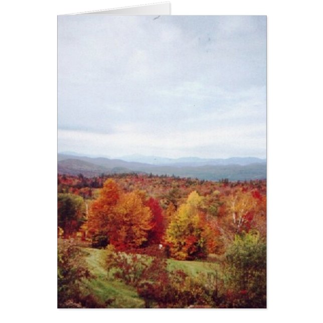 "Right behind the house" (Front)