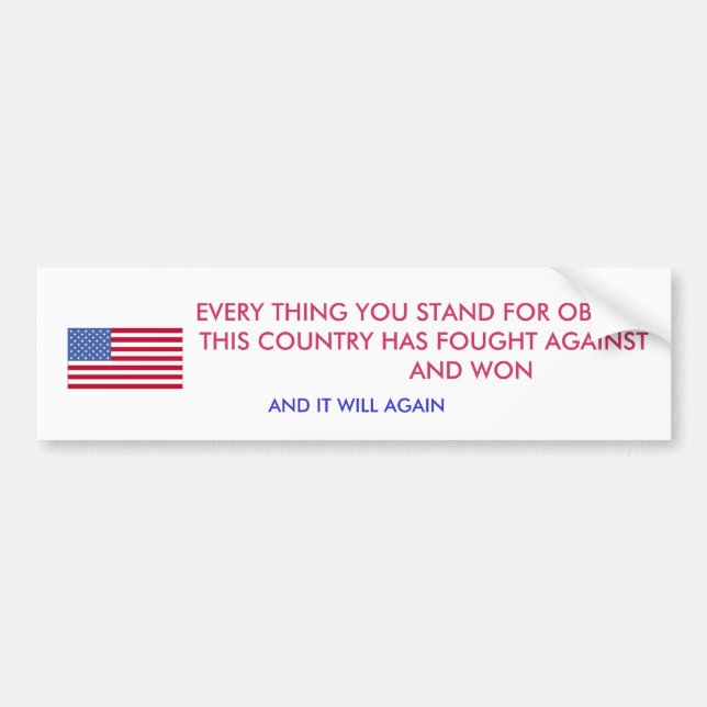 RIGHT FIGHT BUMPER STICKER (Front)