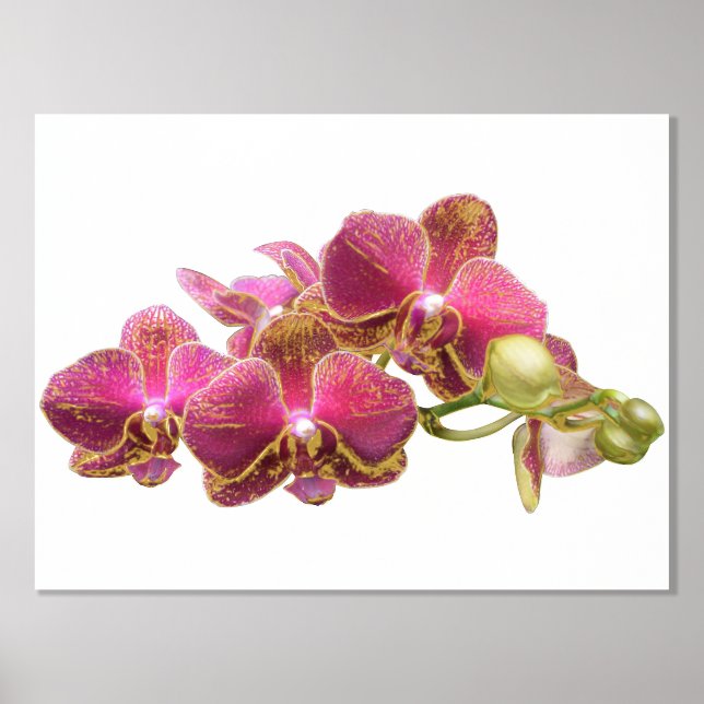 Right Foil Accents on Red Orchids Print Poster (Front)