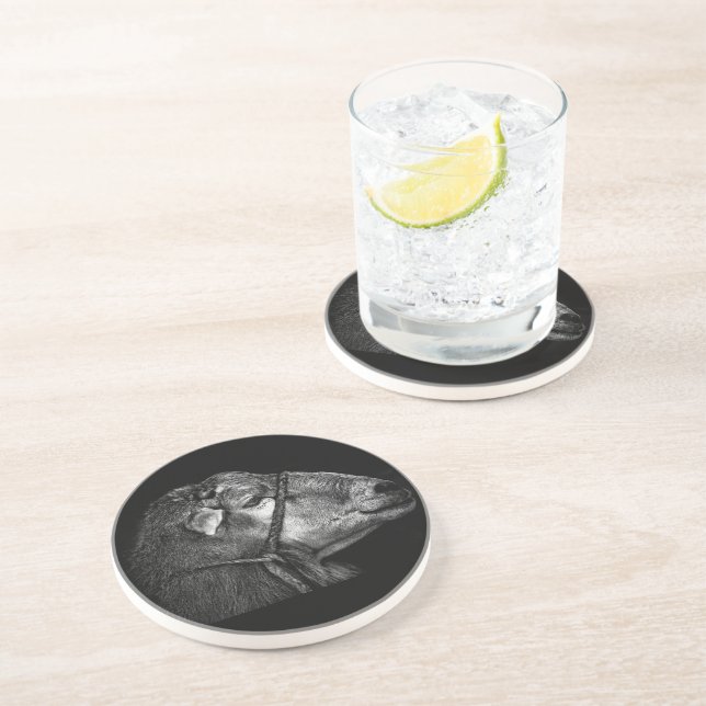 right following coaster (Side)