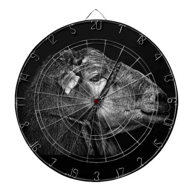 right following dartboard (Front)