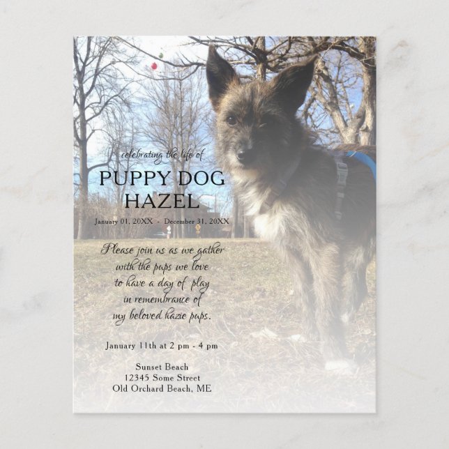 right side photo memorial (Front)