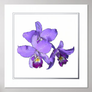 Right Silver Purple Orchid Group Print Poster