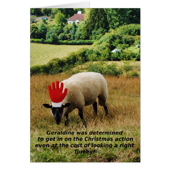 Right turkey! (Front)