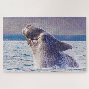 Right Whale Jigsaw Puzzle