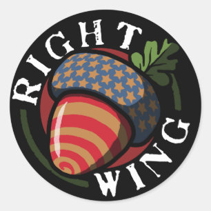 Right Wing Nut Political Classic Round Sticker