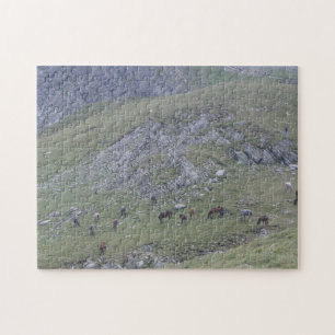 Rila Mountain Seven Lakes Wild Horses Bulgaria Jigsaw Puzzle