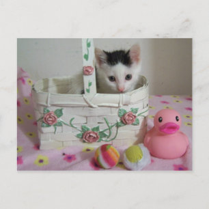 Riley Postcard
