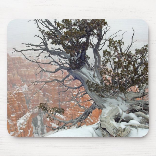 Rim Bryce Canyon Mouse Mat (Front)